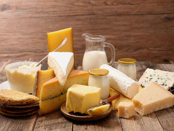  Enzyme Modified Dairy Product Market Insights & Growth Drivers | Exactitude Consultancy 