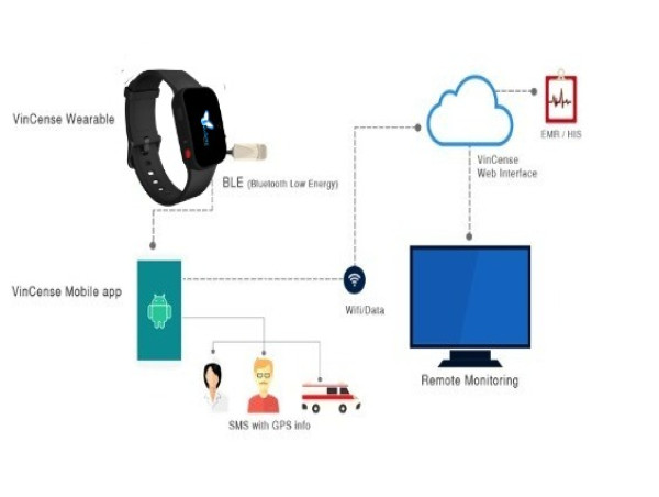 Wireless Health Market Projected To Witness Substantial Growth, 2025-2032:IBM, Philips Healthcare, Apple Inc, Fitbit,Inc