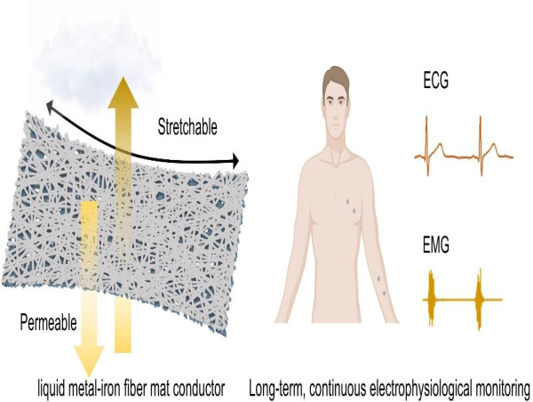  Highly elastic, permeable liquid metal–iron fibre mat conductor for electrophysiological monitoring 