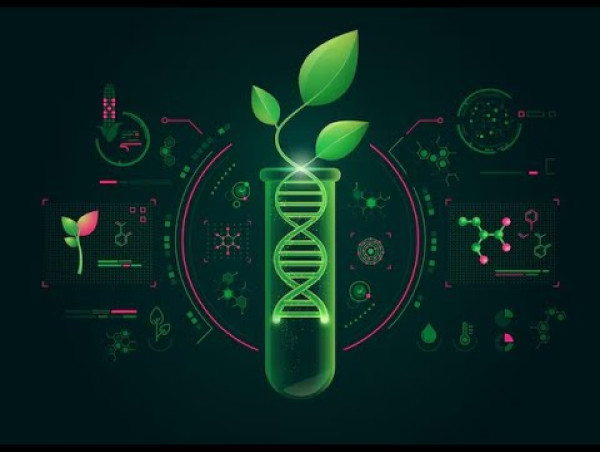  Synthetic Biology Market Projected To Witness Substantial Growth, 2025-2032: GenScript, Amyris, Illumina, Genomatica Inc 