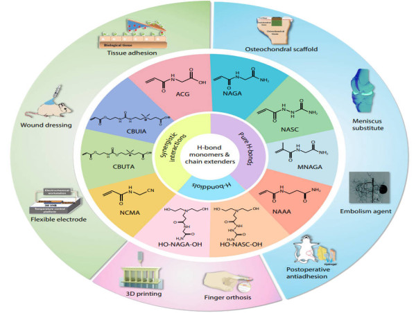Supramolecular polymers: the future of biomedical and engineering solutions
