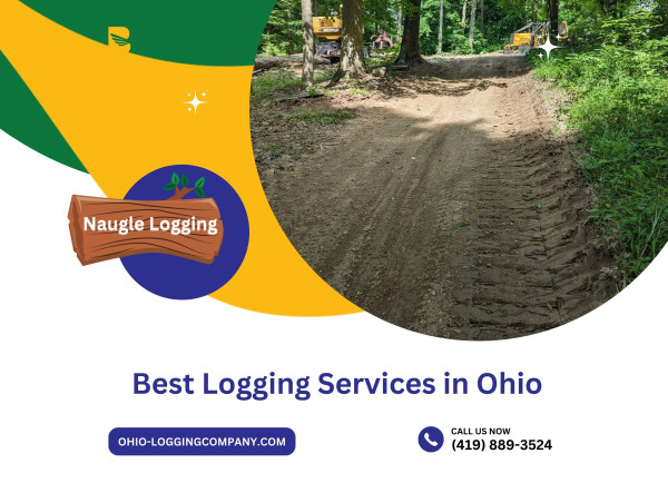 Top-Rated Naugle Logging Announces Its Best Logging Services in Ohio, Indiana and Michigan