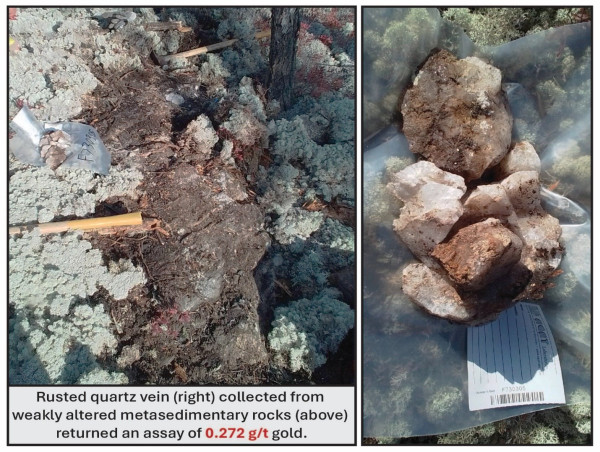  First Lithium Minerals Discovers Gold Anomaly at Its Lidstone Prospect in Ontario 