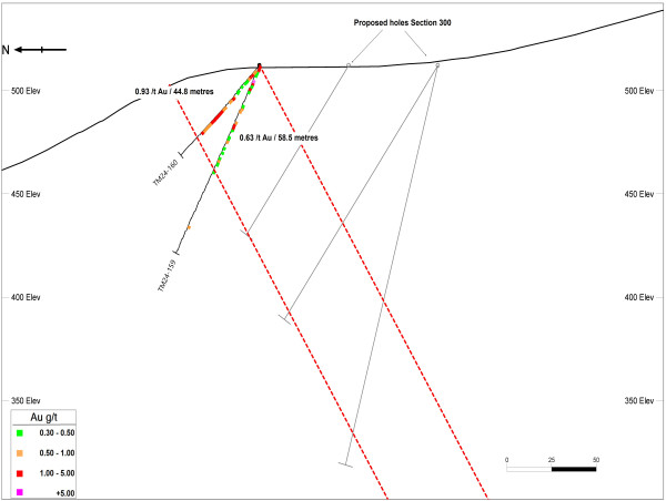  Thunder Gold Announces 2025 Exploration and Drilling Plan for the Tower Mountain Gold Property 