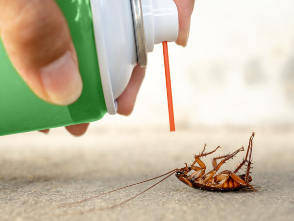 Household Insecticides Market Projected To Witness Substantial Growth, 2025-2032| Amplecta AB, Jyothy Laboratories Ltd