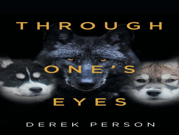 'THROUGH One's Eyes' by Derek Person: A Poetic Exploration of Life's Struggles and Hidden Truths