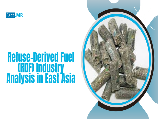  East Asia Refuse-Derived Fuel (RDF) Market Poised for Growth, Projected to Reach US$ 537 Million by 2034 