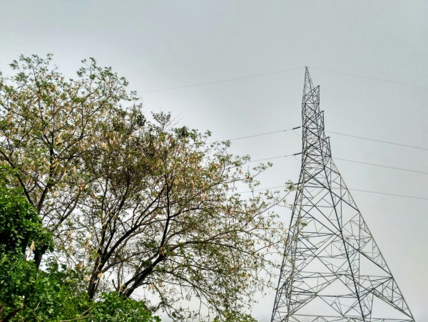  From NTPC to Tata Power: 5 power stocks to watch as India braces for extreme summer 