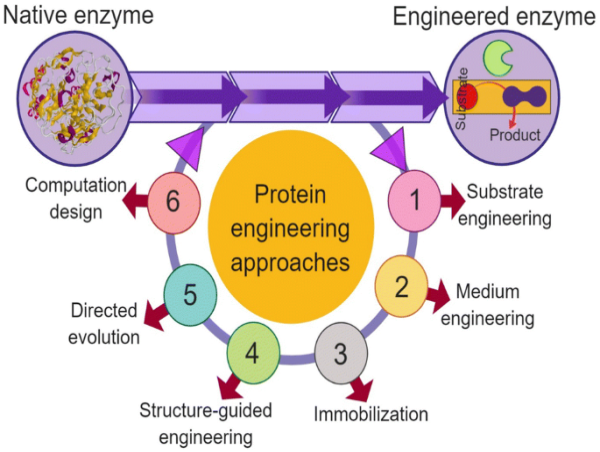  Protein Engineering Market Projected To Witness Substantial Growth, 2025-2032: Agilent Technologies Inc., Amgen Inc 