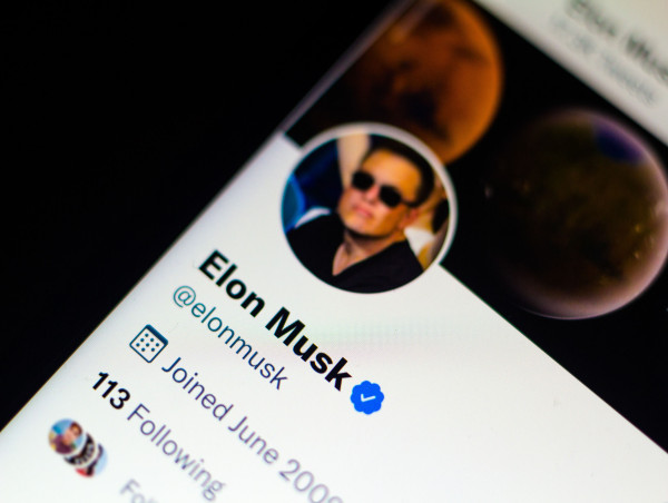  Elon Musk under fire as X crashes, Tesla plunges, and Trump administration role sparks backlash 