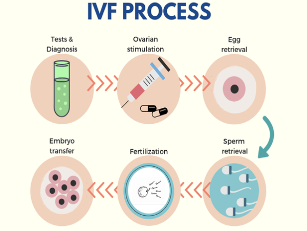  Unlocking Hope: The Booming Europe IVF Market 2025 and Assisted Reproductive Technology 