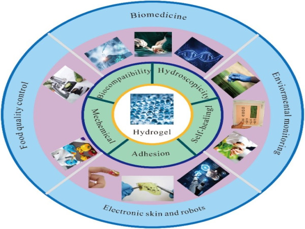  Breakthrough in Sustainable Biomaterials: Innovations in Polyacrylic Acid Hydrogels 