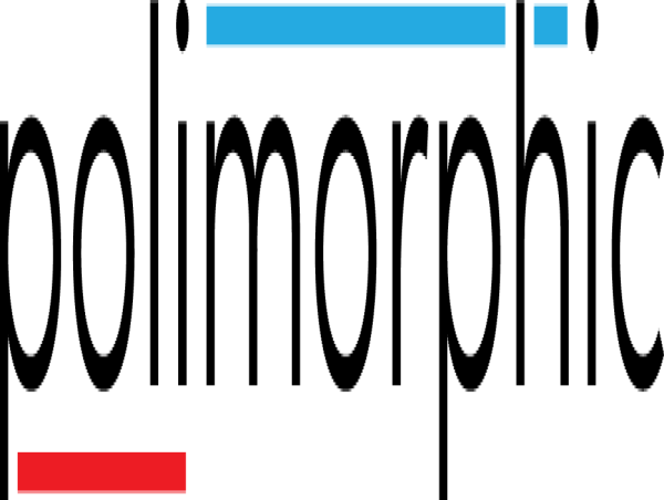  Polk County, North Carolina, Recognized as a Service-First Award Winner for Innovation in Government Services 