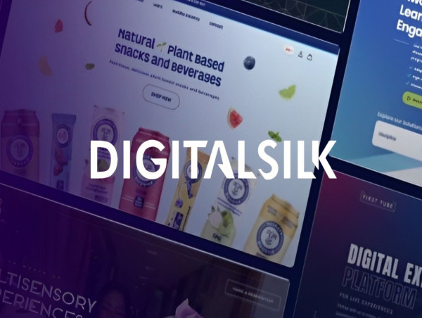 Digital Silk Sets New Standards in Digital Strategy with 2024 Client Successes