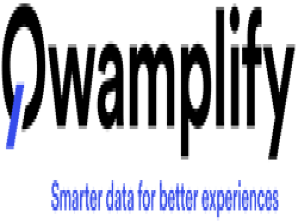 Qwamplify Chiffre D'affaires Et Marge Brute Annuels 2024