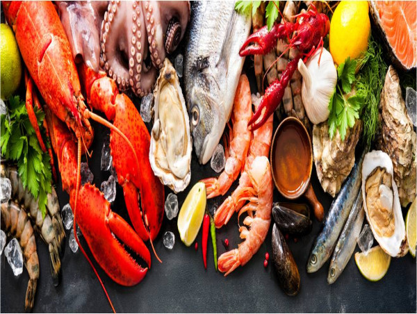  SGS Launches FSMA 204 Food Traceability Solutions 