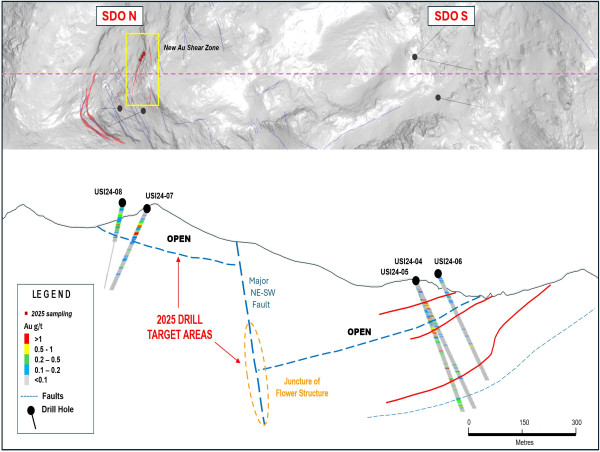 Palamina Extends Known Gold Mineralization in the Sol De Oro North Zone at the Usicayos Gold Project