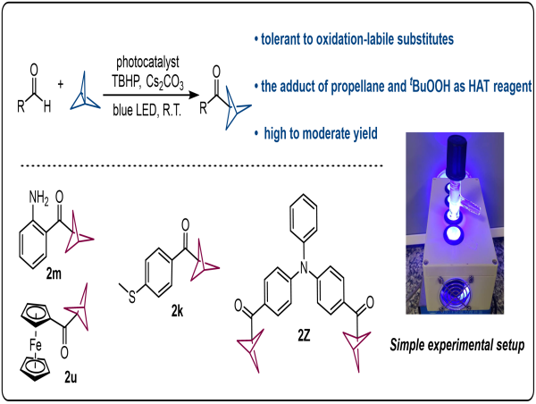  New method for bicyclo[1.1.1]pentane ketones synthesis 