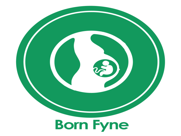  BornFyne Initiative: A Digital Health Solution to Improve Maternal Health Outcomes in Rural Cameroon 