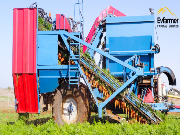  Evfarmer announces strategic partnership with multiple carrot farms in Picardy, France 