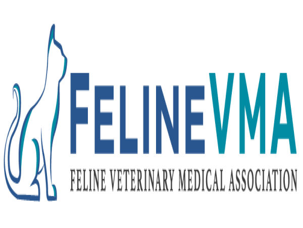  The Feline Veterinary Medical Association Advocates for Proper Socialization of Kittens 