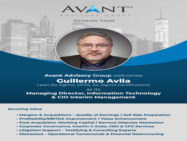  Technology Executive, Guillermo Avila, Joins Avant Advisory Group 