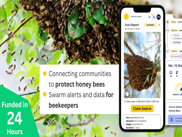  Swarmed Crowdfunding Campaign Funds in Under 24 Hours Amid Record Bee Losses 