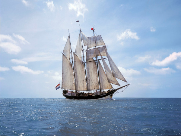 A Tall Ship, A Bold Mission, and a New Generation of Conservation Heroes: DARWIN200 Docks in Cape Town Cape Town