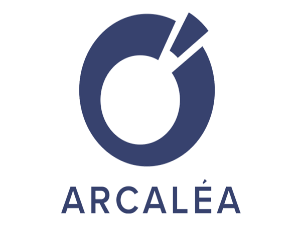 Arcalea Named Top Google Premier Partner