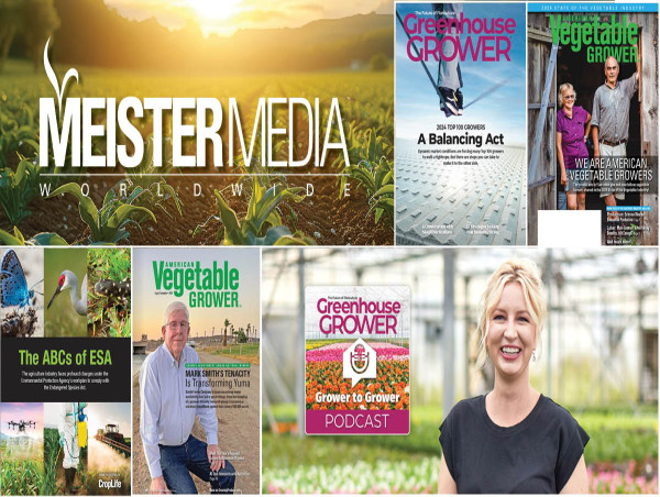  Meister Media Named Finalist for 2025 Azbees Awards of Editorial Excellence, Receives Honors in Five Regional Categories 