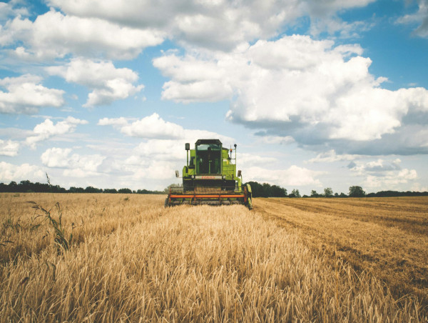 Russian wheat exports plummet for fourth straight month on lower profitability