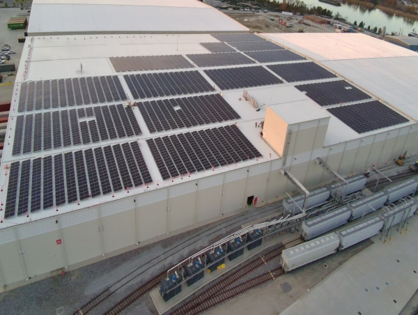 Alectric Renewables Celebrates Over a Decade in Business