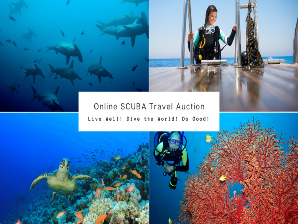  From Devastation to Determination: Global Travel Auction Offers Dream Trips to Save the Oceans 