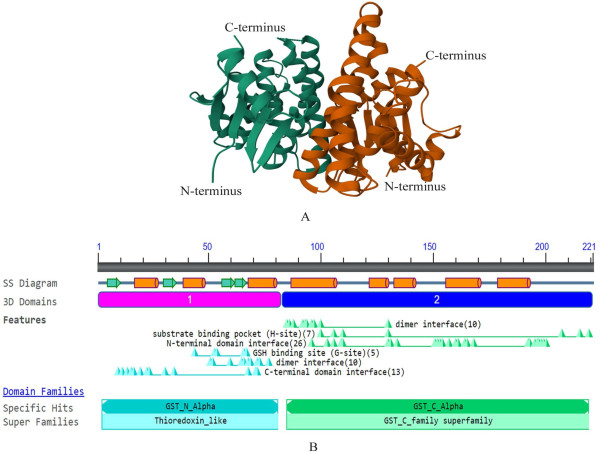  New Insights into Glutathione S-Transferases: A Key to Unlocking Disease Treatment and Drug Resistance 