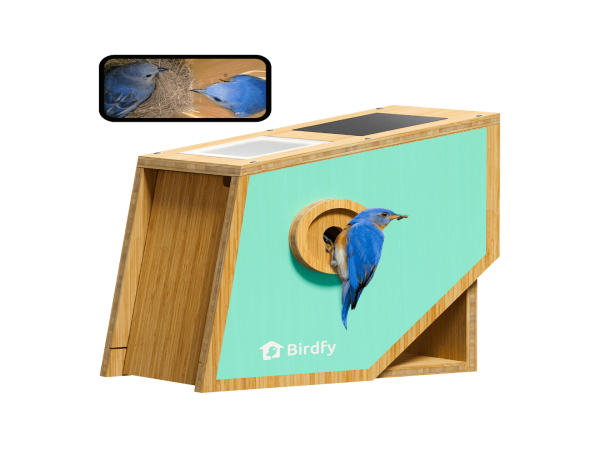 Birdfy Announces Nest Polygon: Smart Bamboo Nest Box Designed to Capture Bird Nesting Moments 