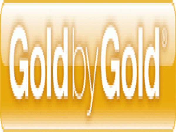  Goldbygold : Résultats Annuels 2024 