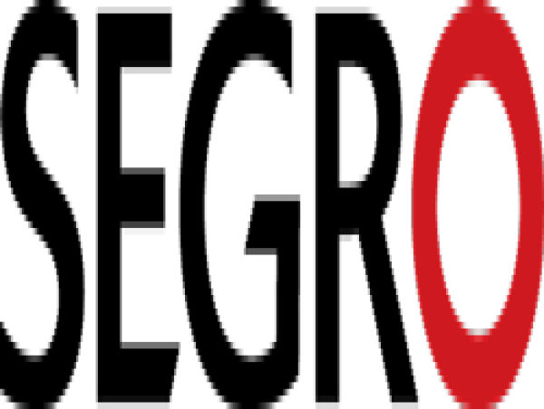  Segro Plc : Directorate Change 