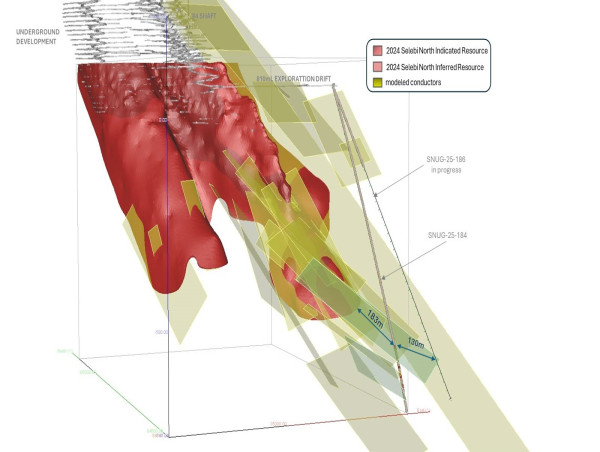 Premium Drills Significant Mineralized Step-Out at Selebi North