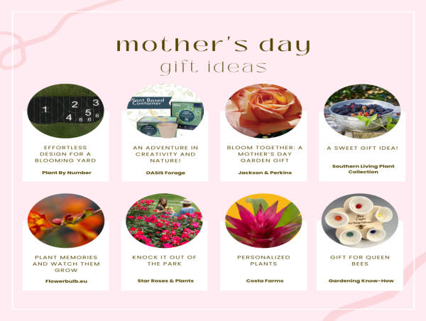  Planted with Love: 2025 Mother’s Day Gardening Crafts for Kids 