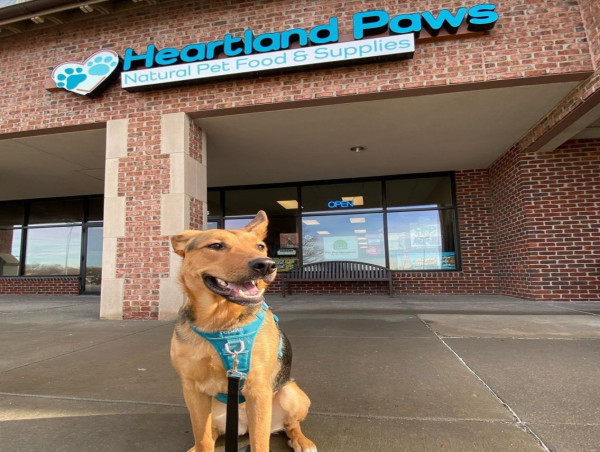 Dog Friendly Omaha Names Heartland Paws Best Pet Store in Omaha