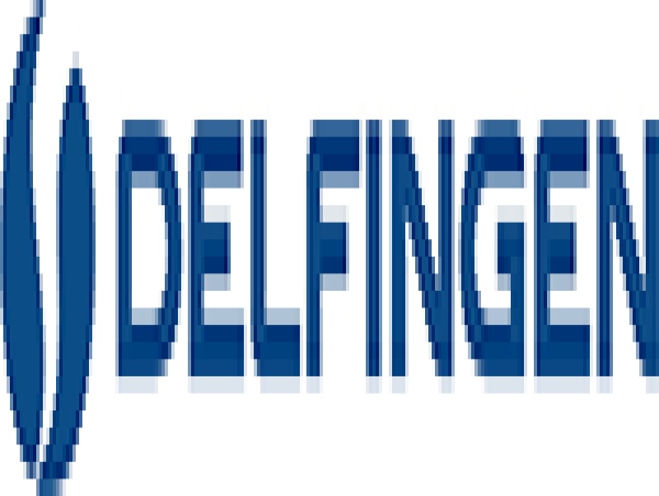  Delfingen Industry : Chiffre D'affaires Du 1Er Trimestre 2025 