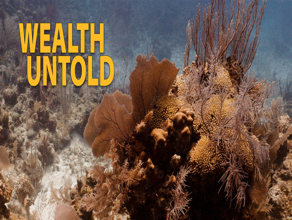  WEALTH UNTOLD Documentary Officially Released 