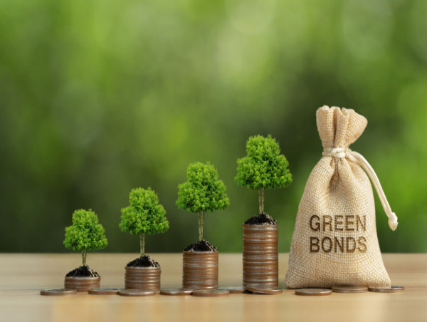 Green Bond Market Projected To Witness Substantial Growth 2025-2032