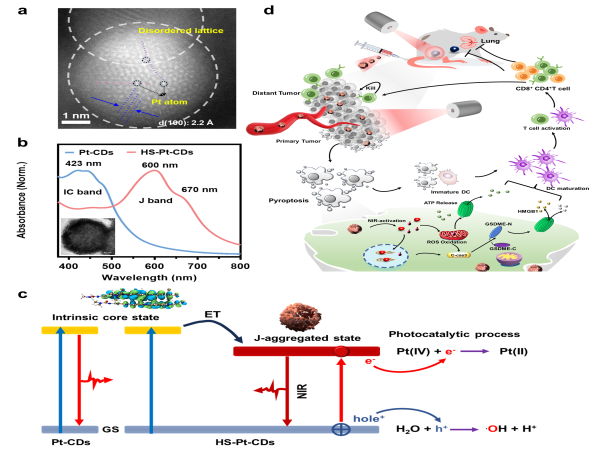 J-Type Supra-(Carbon Dots) for Near-Infrared Light-Triggered Pyroptosis