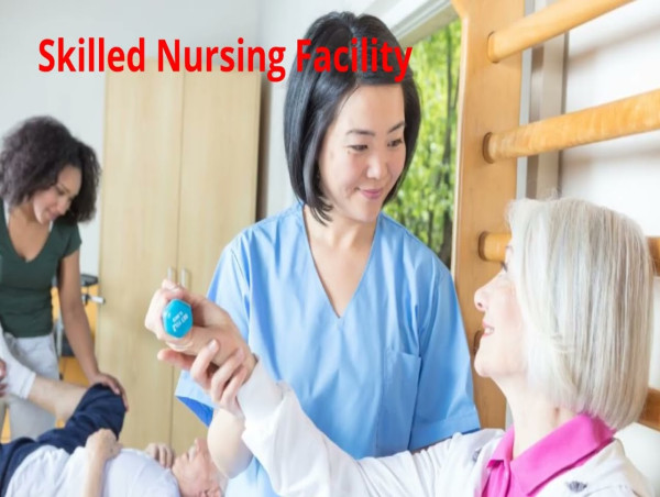 Skilled Nursing Facility Market Set to Witness Significant Growth by 2025-2032: Consulate Health Care, HCR ManorCare