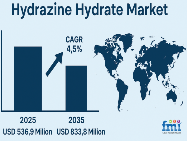 Underestimated Role of Hydrazine Hydrate in Semiconductor Fabrication & Electronics Cleaning Applications, FMI Research