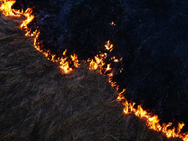 Prescribed Burning Supports Community Risk Reduction Across Louisiana Landscapes
