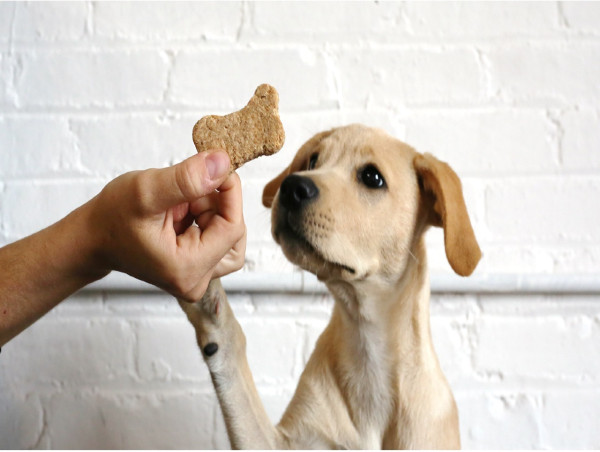 United States Dog Treats, Chews, & Toppers Market to Grow Strongly Driven by Pet Health, Nutrition, and Premium Trends
