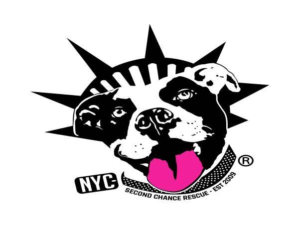 NYC Second Chance Rescue Hosts 5th Annual Rescue Ball Gala Honoring Martha Stewart and Dr. Dan Belkin