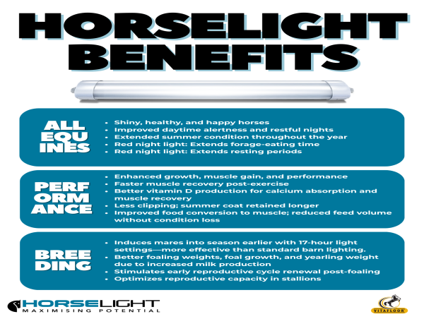 Horses May Miss Critical Light Exposure During Summer Stall Time